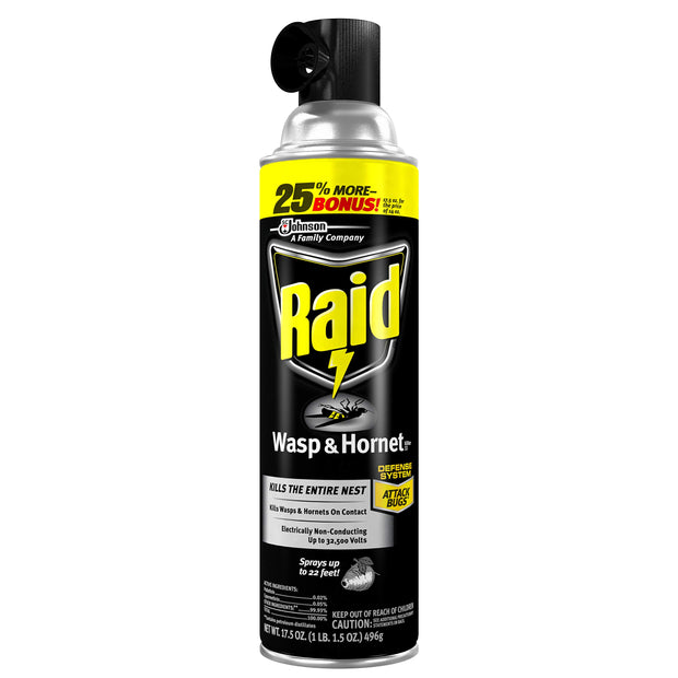 Raid Wasp and Hornet Killer (17.5 Ounce (Pack of 1))