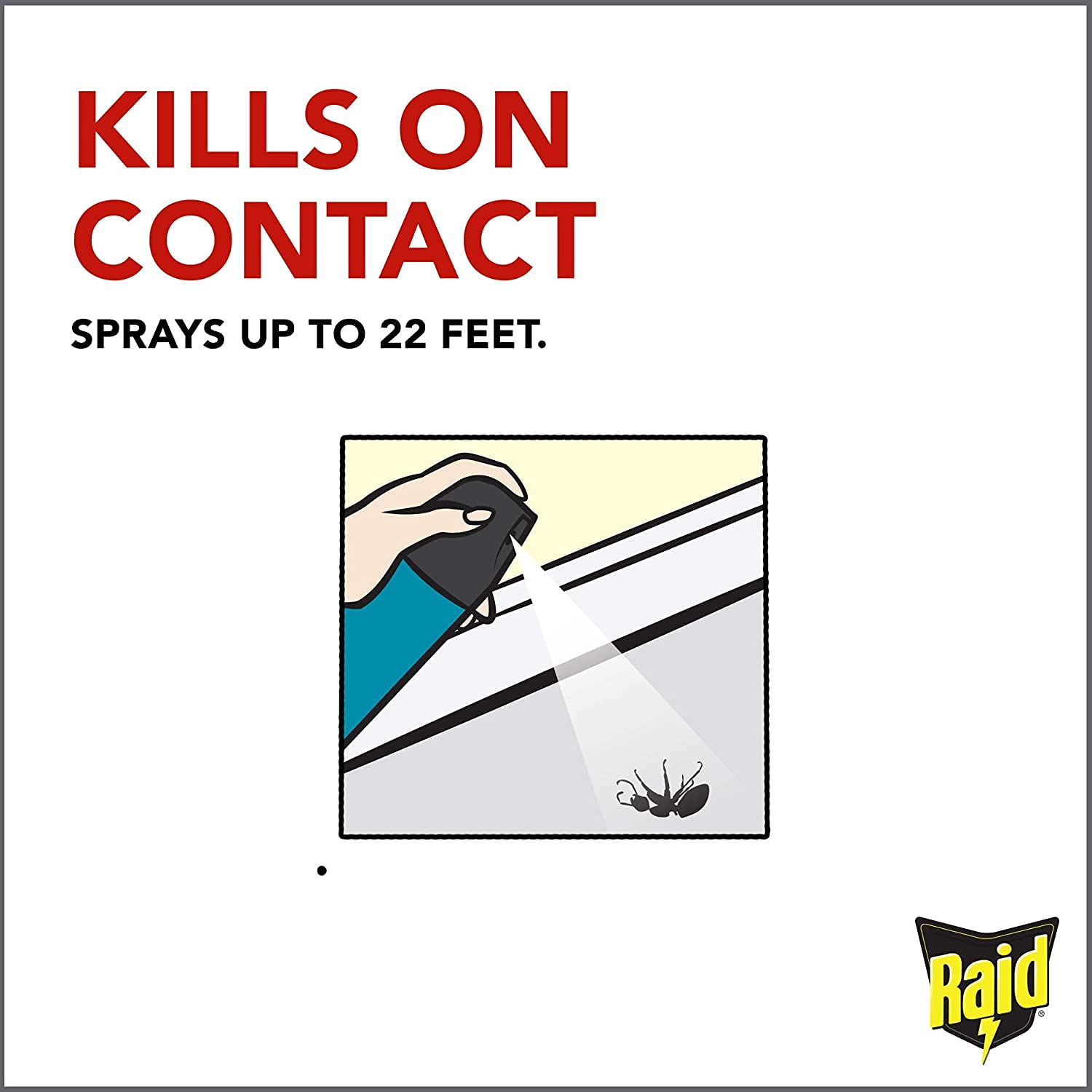 Raid Wasp and Hornet Killer (17.5 Ounce (Pack of 1))