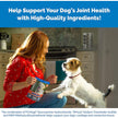 Cosequin MSM Joint Health Supplement for Dogs - 180 Chewable Tablets