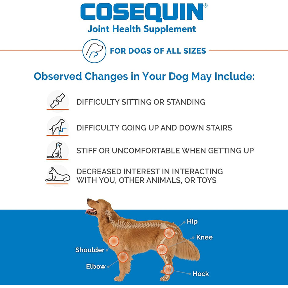 Cosequin MSM Joint Health Supplement for Dogs - 180 Chewable Tablets