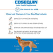 Cosequin MSM Joint Health Supplement for Dogs - 180 Chewable Tablets